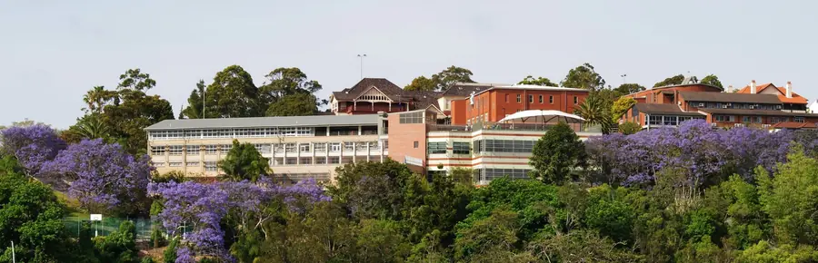 Heritage campus buildings among jacaranda trees